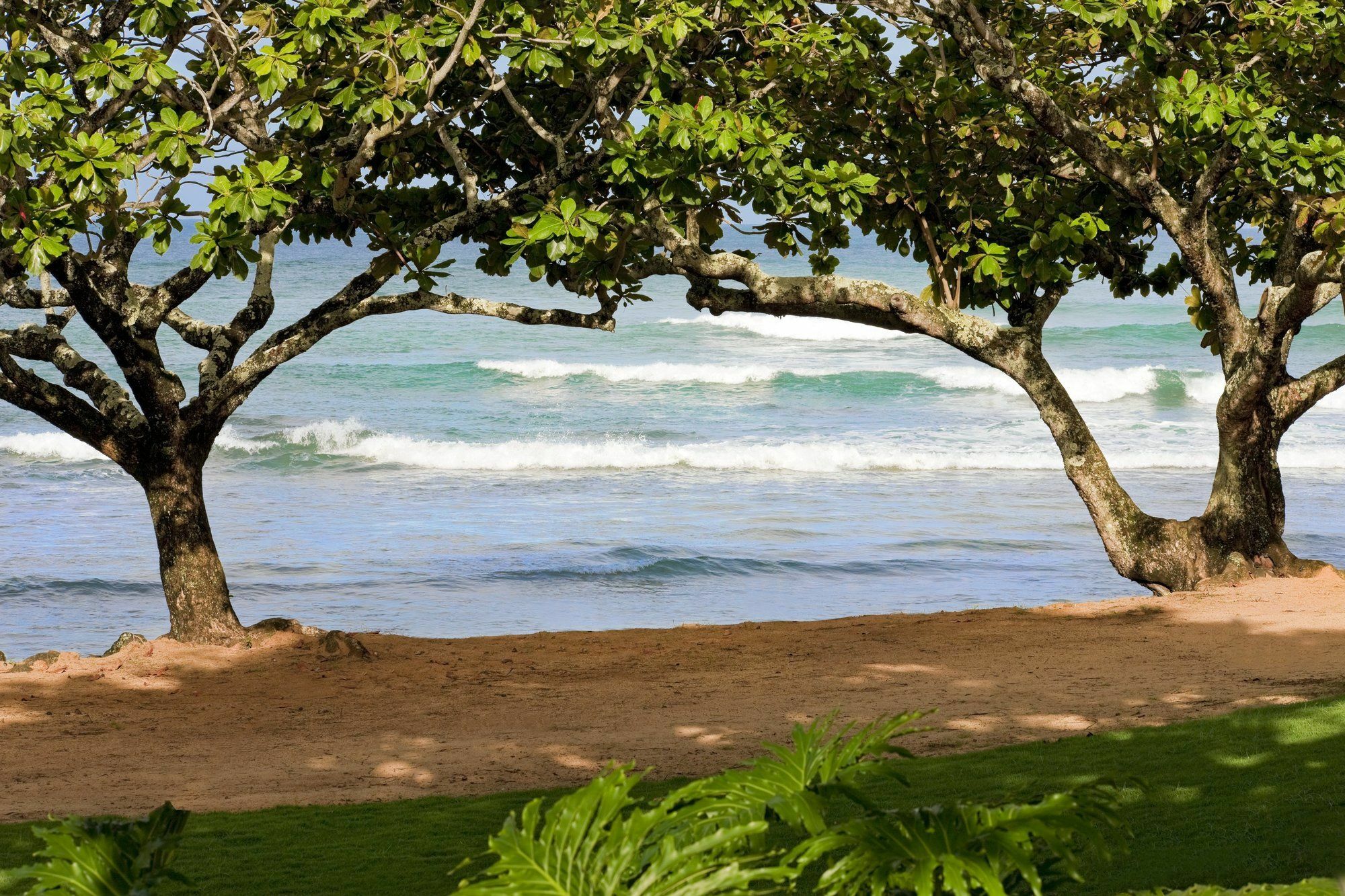 1 Hotel Hanalei Bay Princeville Exterior foto